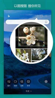 必应bing(Microsoft Bing)