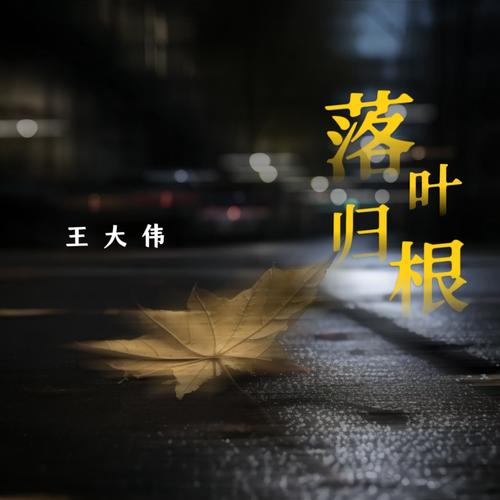 落叶归根小品下载