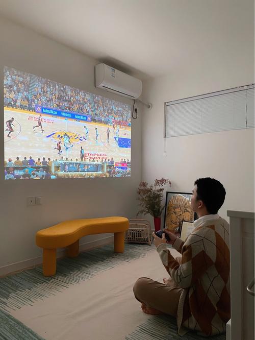 樱花私人影院安装