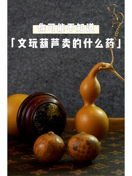 一品鲍葫芦里不卖药