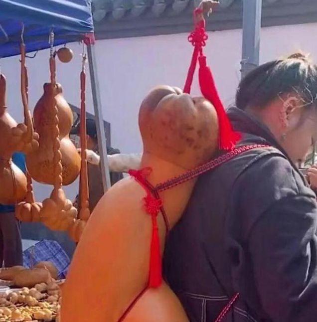 一品鲍葫芦里不卖药