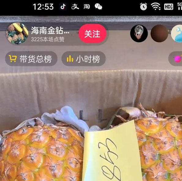 菠萝直播免费版