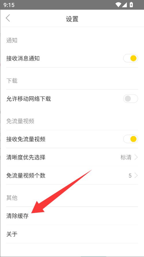 飞极速tv手机版