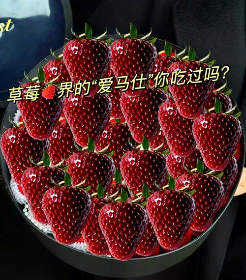 草莓黑科技无限破解免费版最新