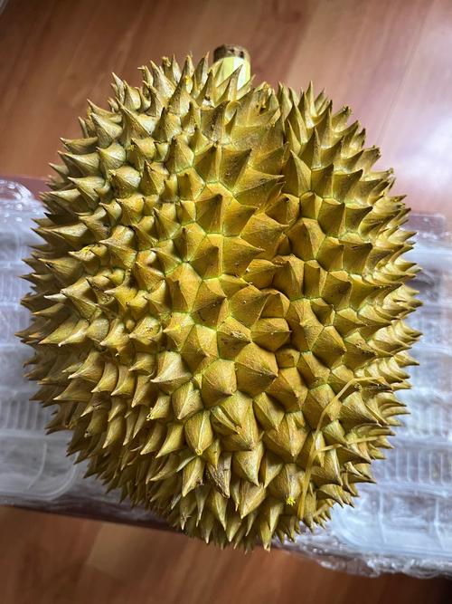 向日葵樱花草莓榴莲大全