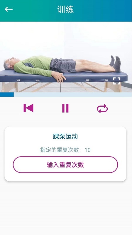 捷行伴侣手机版