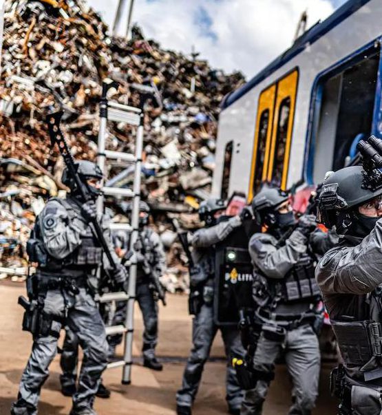 荷兰victoryday高清