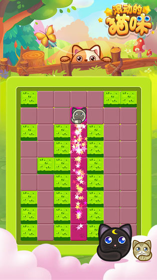 滚动的猫咪官网版