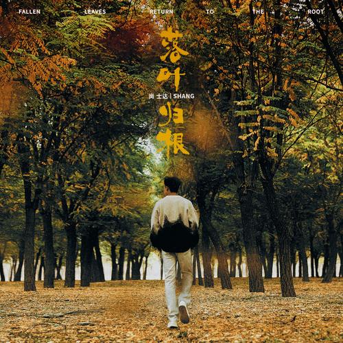 落叶归根小品下载