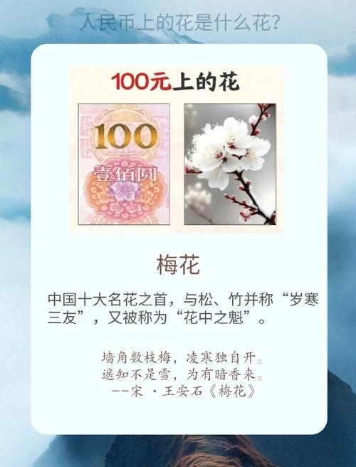 梅花视频不限次数看花钱