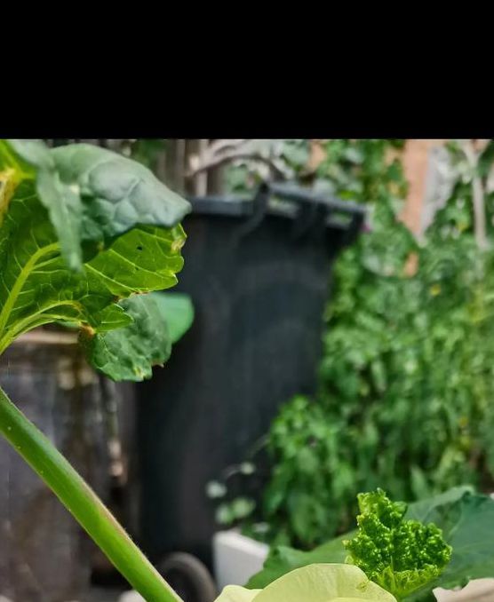 福利宝免费秋葵视频