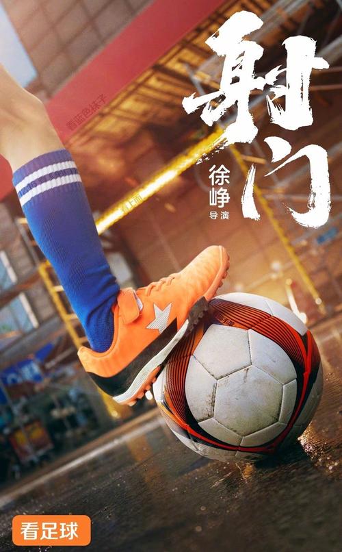 射门视频免费版高清