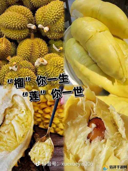 榴莲ll999.app.ios下载手机版