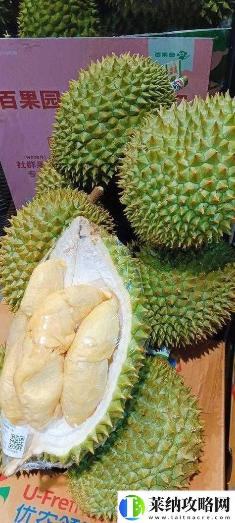 榴莲ll999.app.ios下载手机版