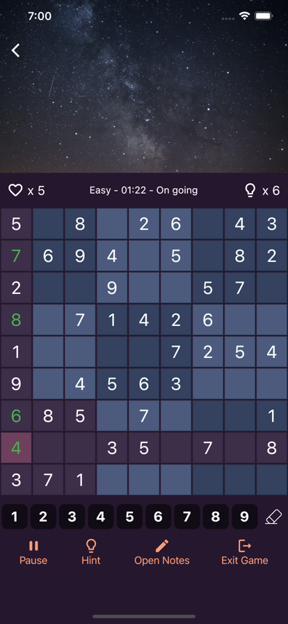 数独迷九宫格数字逻辑解谜益智