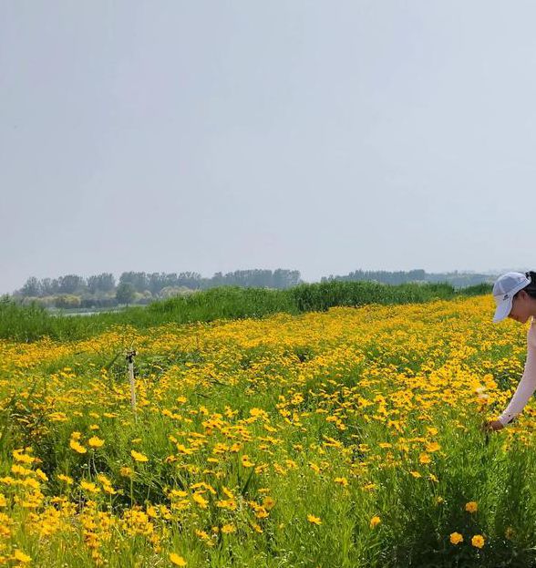 花海直播在线观看