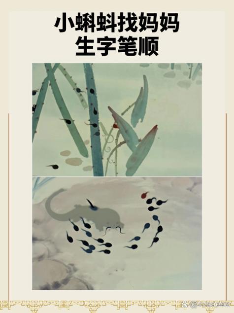 小蝌蚪视频xkdsp