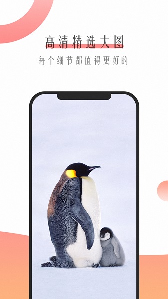 超美壁纸免费版