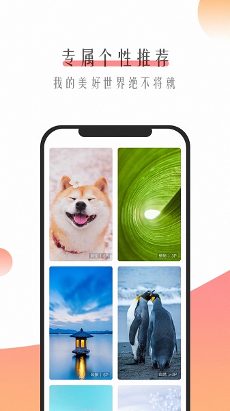 超美壁纸免费版