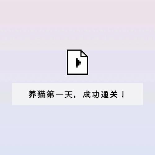 猫咪u9有你有我足矣