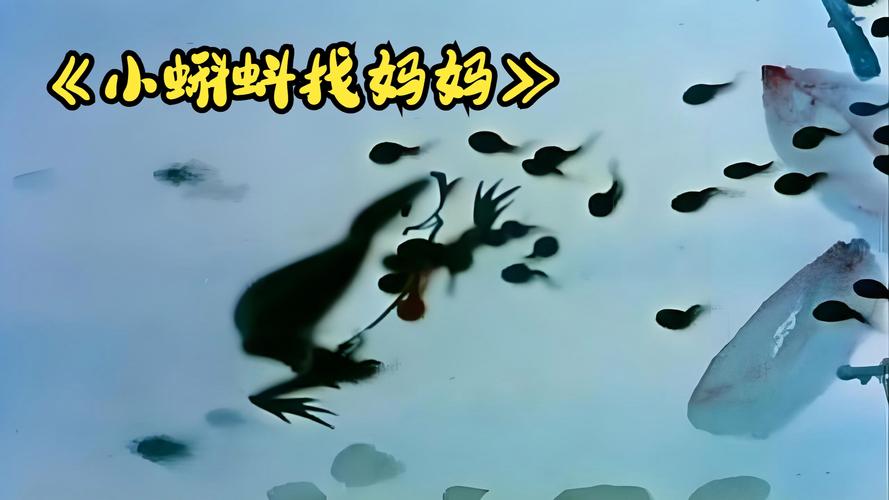 小蝌蚪视频在线观看免费完整版高清动漫