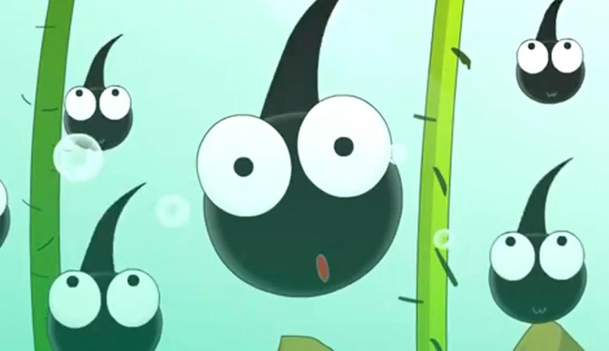 小蝌蚪视频在线观看免费完整版高清动漫