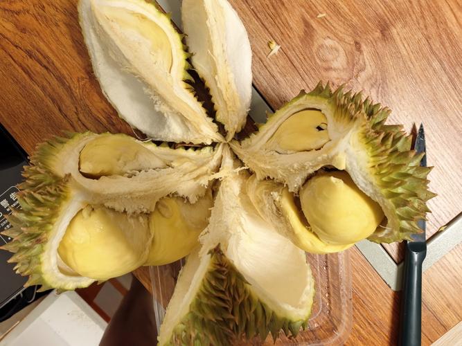 榴莲视频在线观看免费高清