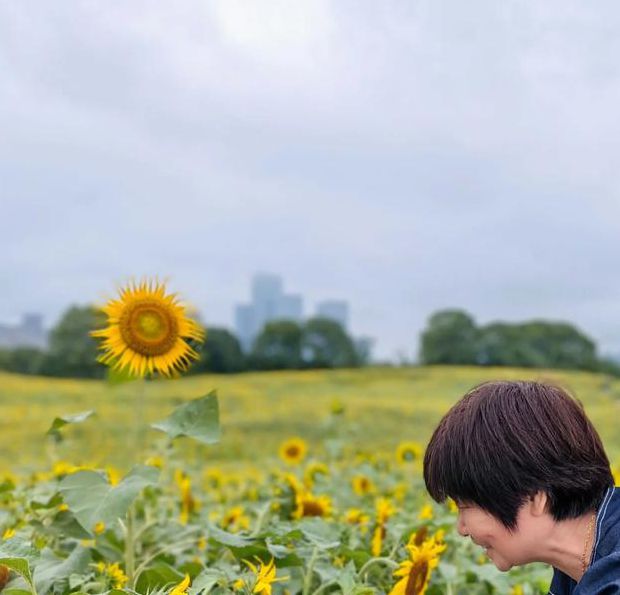 向日葵视频xrk1_3_0ark