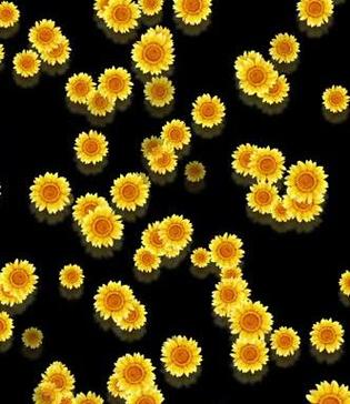 向日葵视频色板app网站进入解锁版