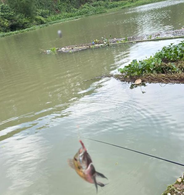 中华户外钓鱼直播