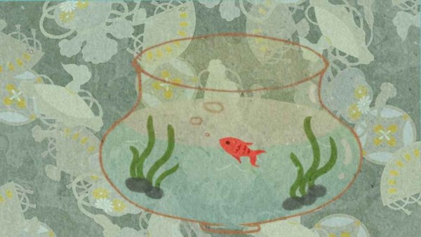 鱼悠悠养成计划免费版