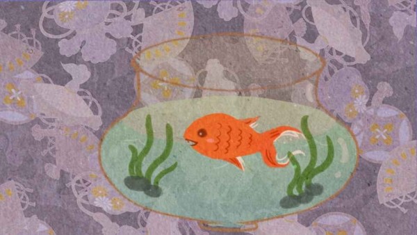 鱼悠悠养成计划免费版