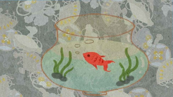 鱼悠悠养成计划免费版