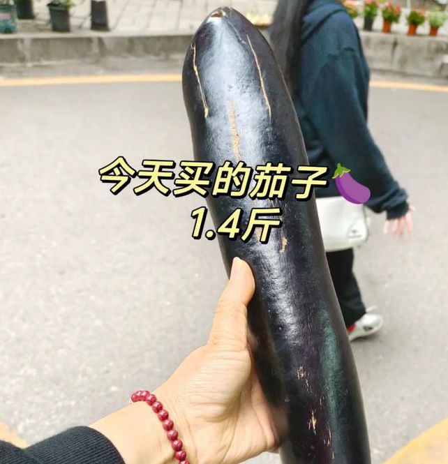 大茄子精品导航