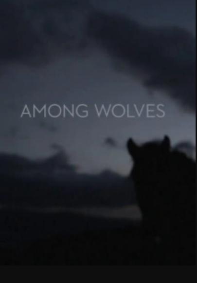 狼群影院免费观看视频APP