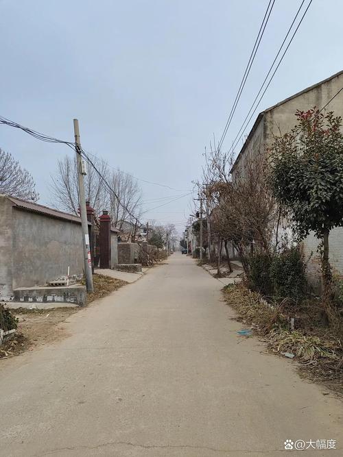 japonensis中国农村