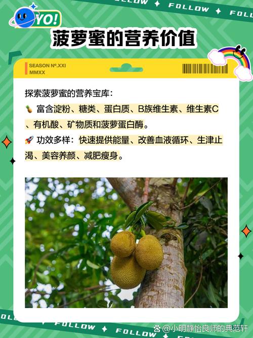 菠萝蜜app汅api免费新版