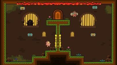 王子公主探险记