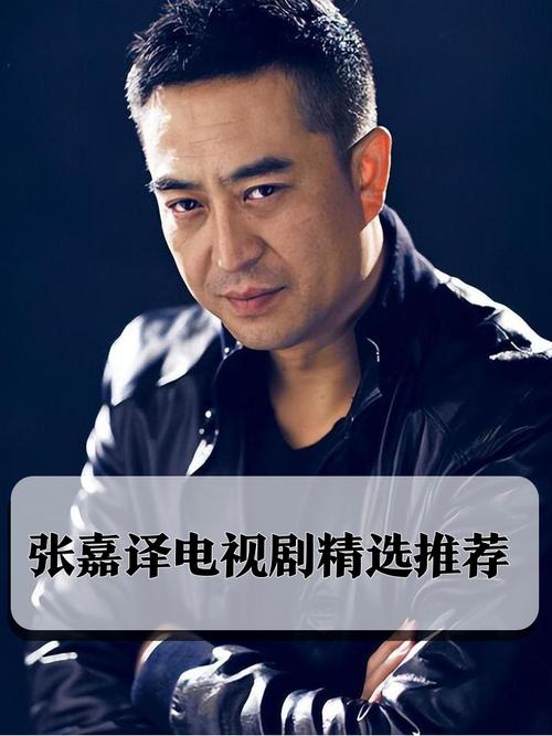 张嘉译的电视剧大全集