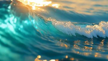 浪花小视频最新版