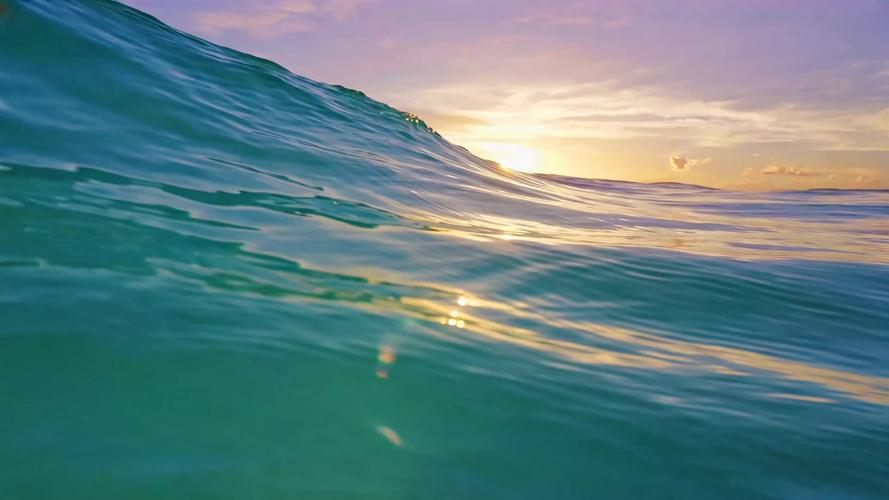 浪花小视频最新版