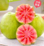 草莓香蕉秋葵芭乐未满十八