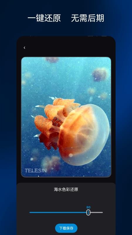 彩焦相机官方正版