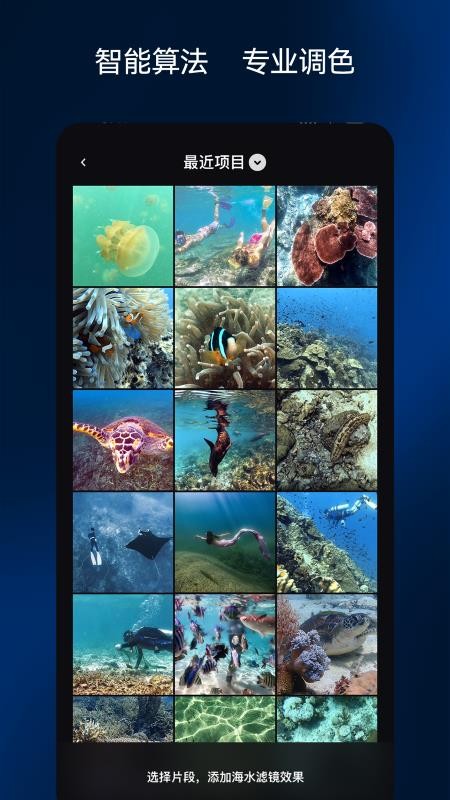 彩焦相机官方正版