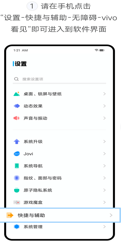 vivo视觉辅助工具官网版