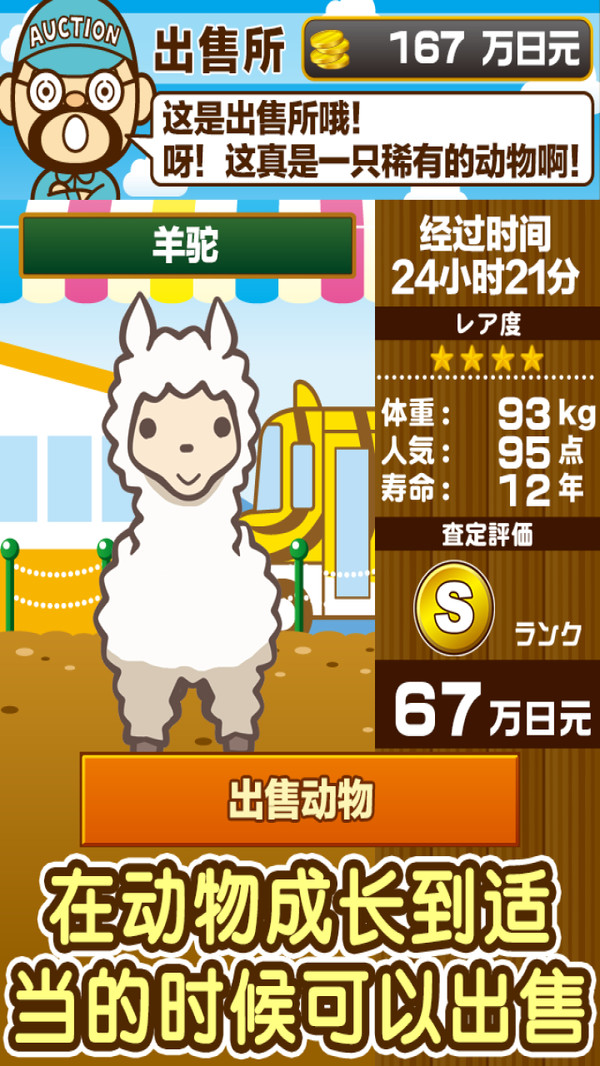 动物园饲养官方正版