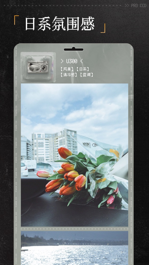 proccd复古ccd相机