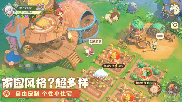 织梦森林正式版官方版