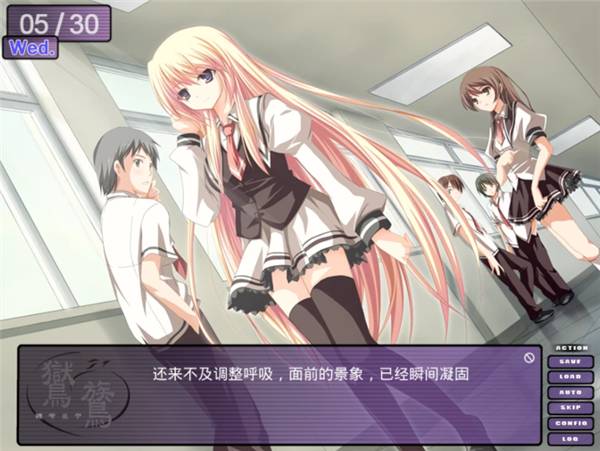 鸑鷟：镜花水月移植版