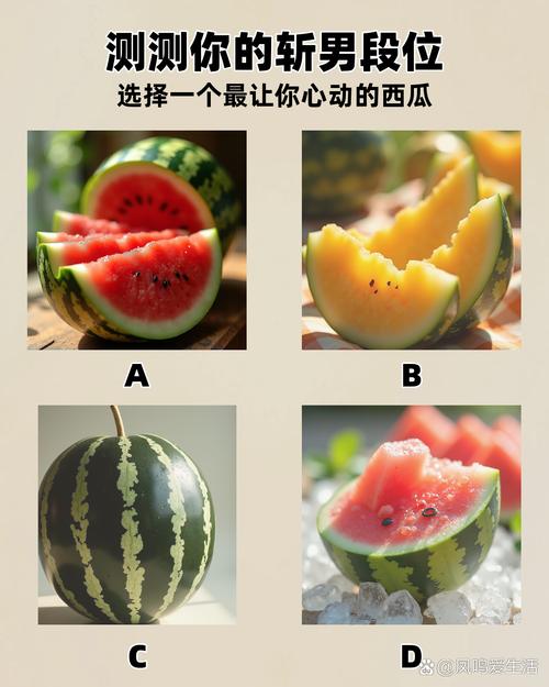 小蝌蚪榴莲丝瓜秋葵樱桃视频完整版